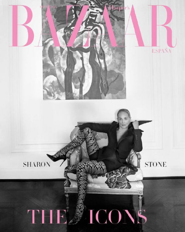 67-летняя Шарон Стоун снялась в ванной в рубашке на обнаженном теле (фото) 6 dd13e0c13afa2b3c85943cdd0dcdacf7