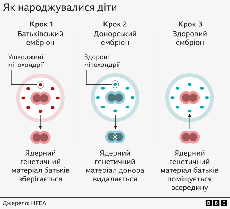 Избавьтесь от смертельных заболеваний. Как дети от ДНК трех человек 1 34831105cf17d6d5417b33b9e029ffe7