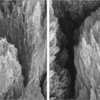 270d0b4e6fc17240afcc80b57f92e126