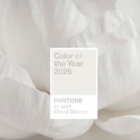 6bc1f10819da21ab12de1d5bb7827202