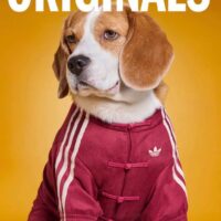 dd9ceaf865936df71864640f8bb690e6